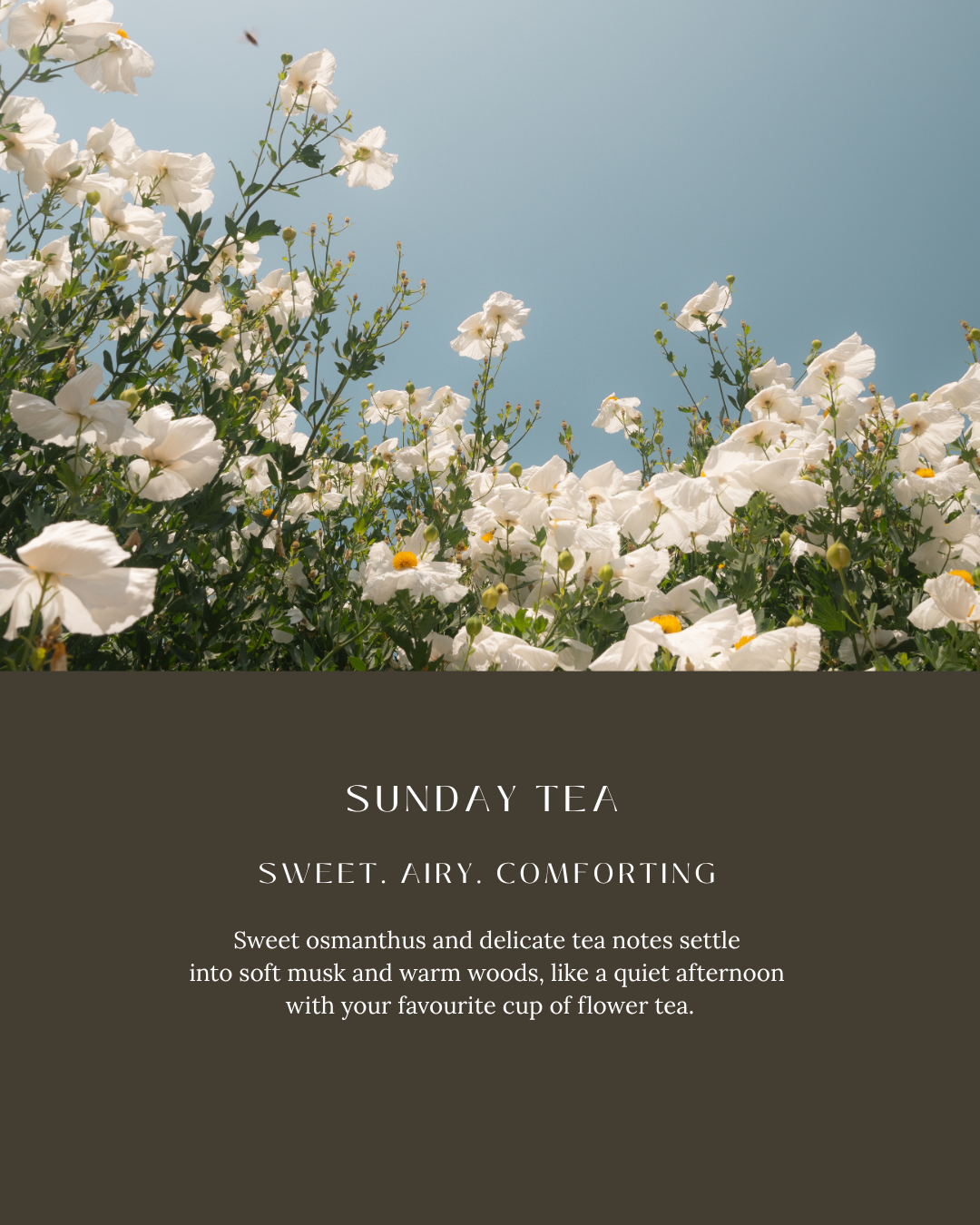 Floral sweet tea like fragrance perfume hand cream good for moisturizing your hands. Made in Canada